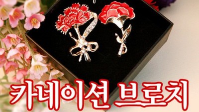 ✨어버이날 특가✨ 14k 카네이션 브로치 후기 & 꿀팁 대방출!