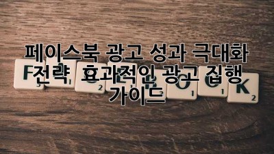 페이스북 광고 성과 극대화 전략 : 효과적인 광고 집행 가이드