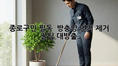 종로구민 필독! ✨ 방충망 먼지 제거 꿀팁 대방출 🍯