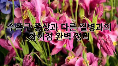 수족구? 증상과 다른 질병과의 차이점 완벽 정리!